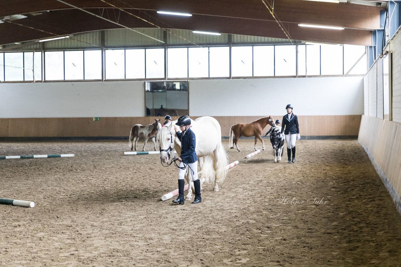 Bild 6 - Pony Akademie Turnier